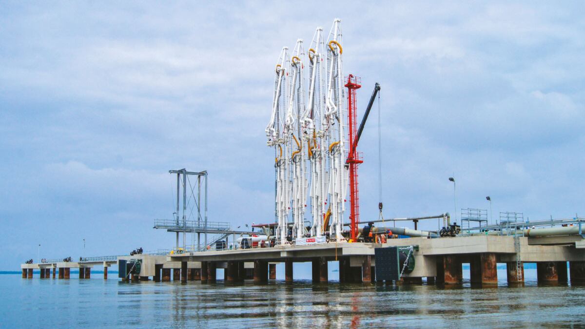 En enero, Puerto Bahía empezará a operar, en un área de 105 hectáreas.