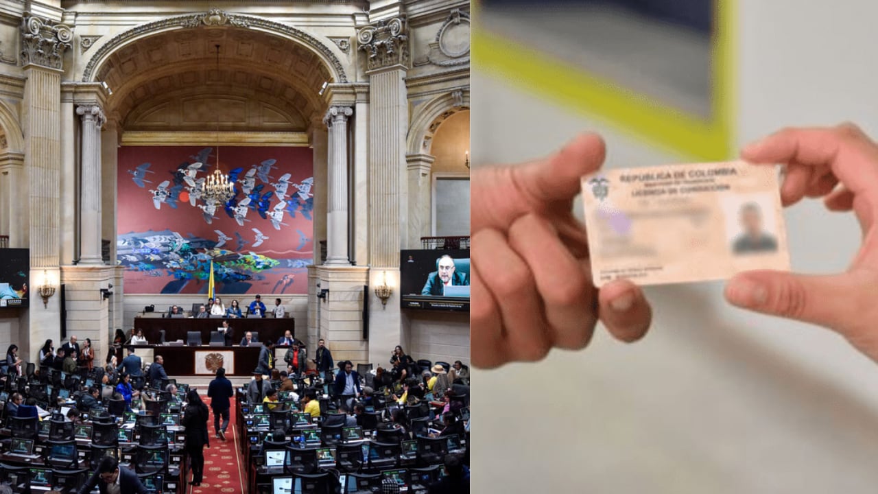 La iniciativa buscaba fortalecer la seguridad vial mediante un esquema de puntos que premiara el buen comportamiento de los conductores.
