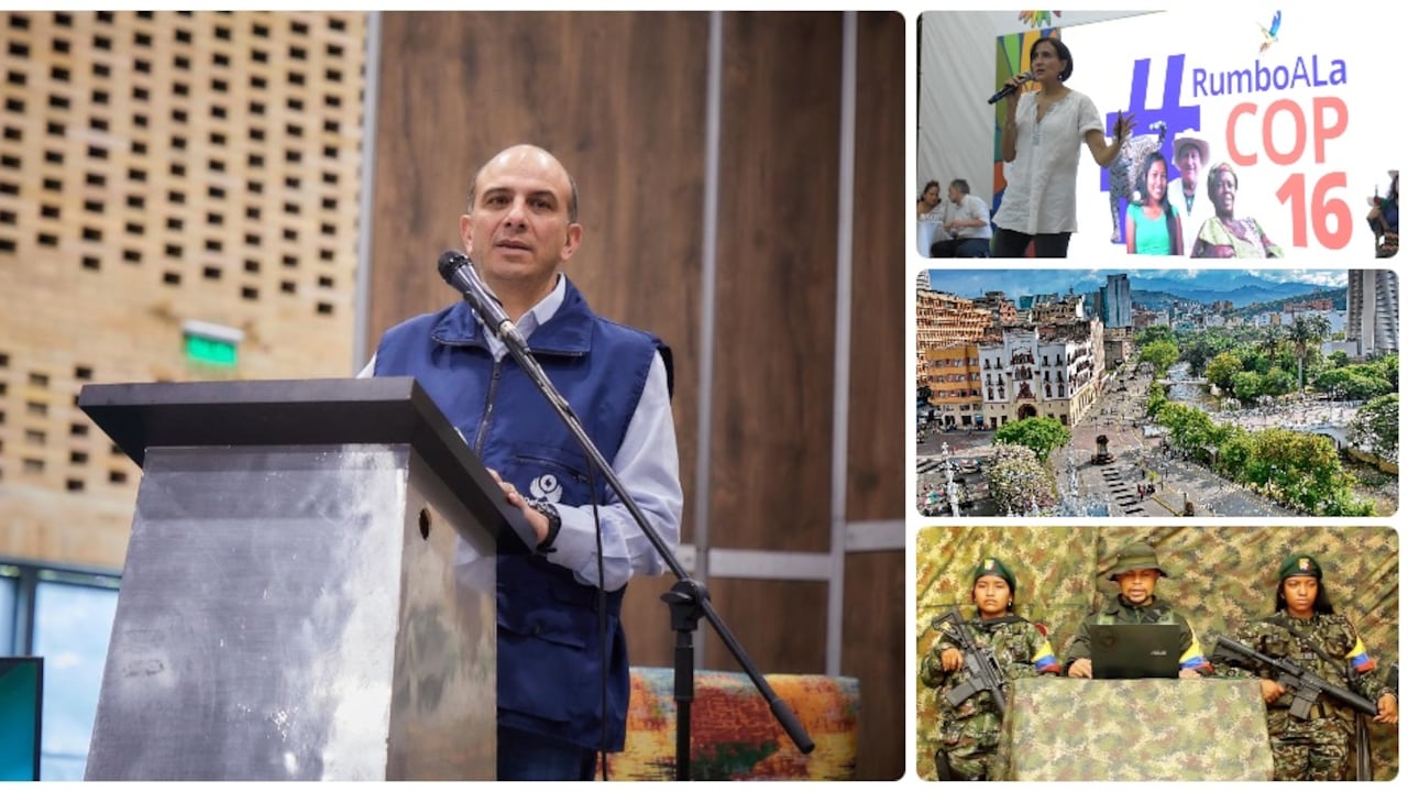 El defensor del Pueblo, Carlos Camargo, lanzó la alerta por el accionar criminal de los grupos que operan en el Valle del Cauca.