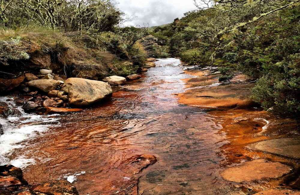 Caño Cristales, versión paramuna, es uno de los lugares de interés, entre otros. Foto: Luigi Saenz 