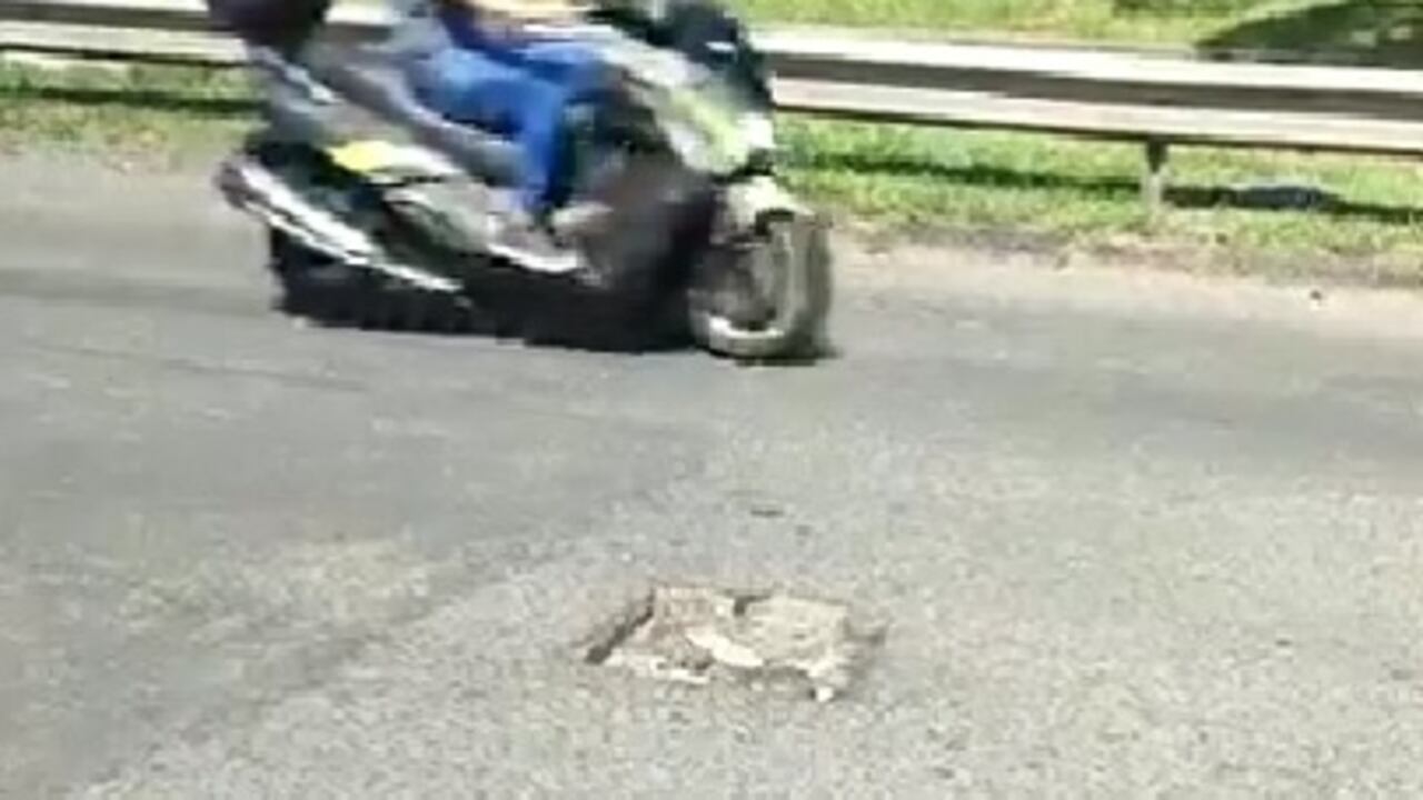 El peligroso hueco que se convirtió en una "trampa mortal" en la autopista Suroriental