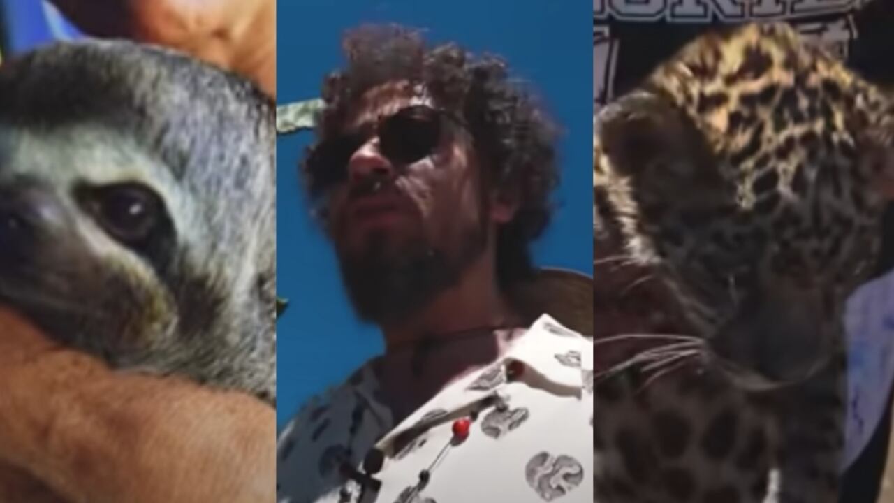 Luisito Comunica y algunos de los animales que halló en su visita.