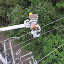 Actualmente, los grupos operativos de la Gerencia de Energía de Emcali instalan cables semiaislados que protegen las redes de choques con ramas de árboles y provocan interrupciones en el servicio.