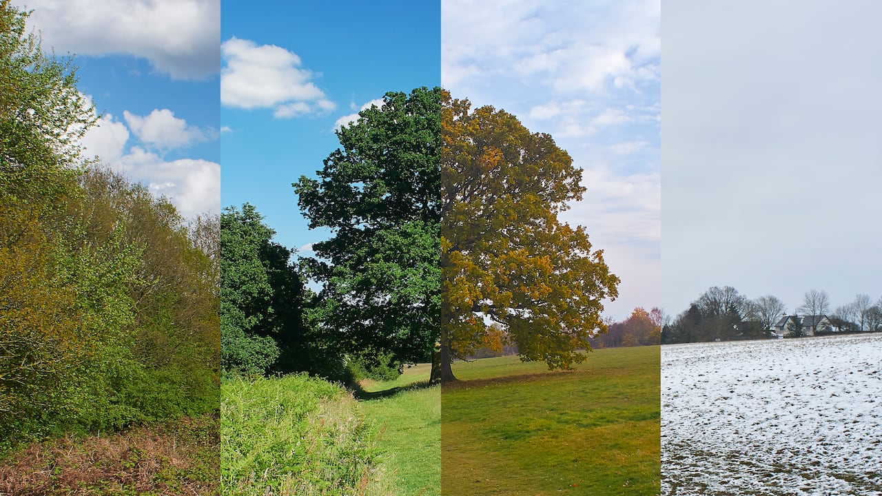 Spring, Summer, Autumn and Winter