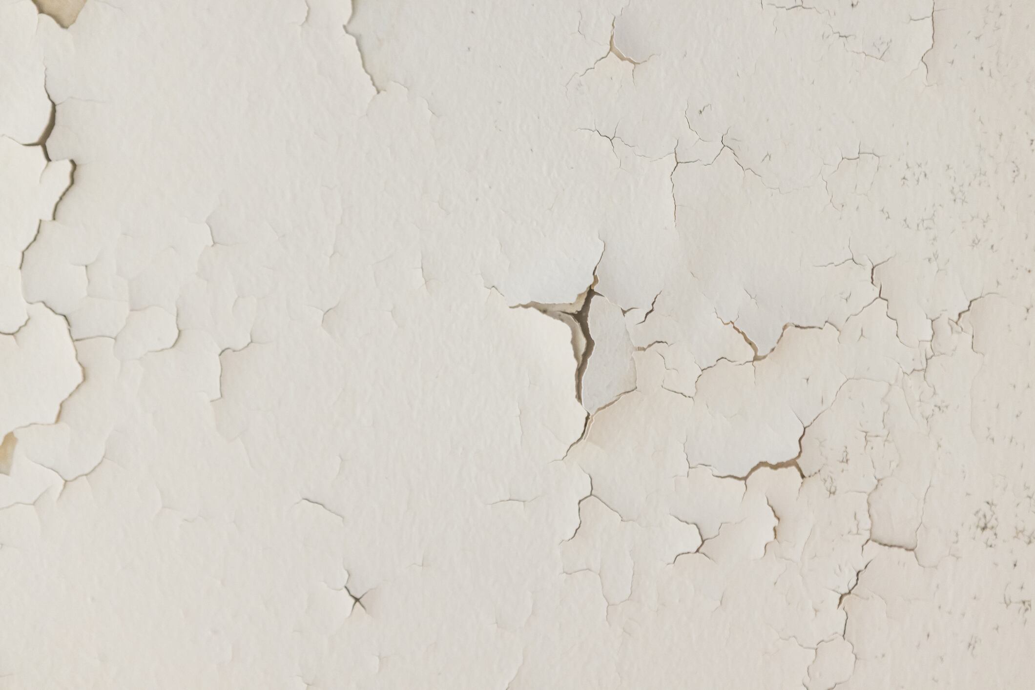 Roof of a house with damp, fungus, mold and peeling. Concept of condensation, damage, house, leak, humidity, bathroom, repair, sanitation, respiratory virus and fix.