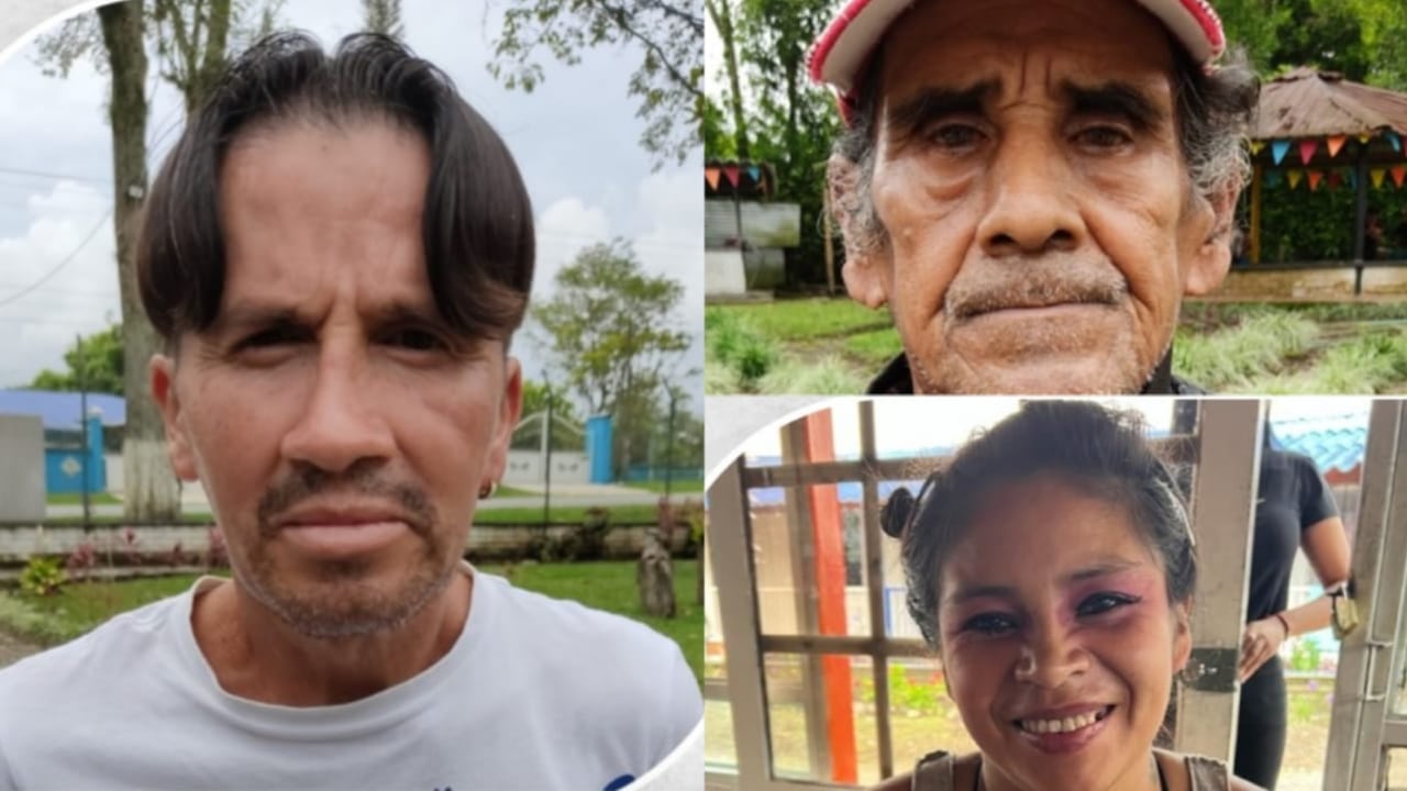 Son oriundos de Antioquia, Tolima y el departamento del Quindío