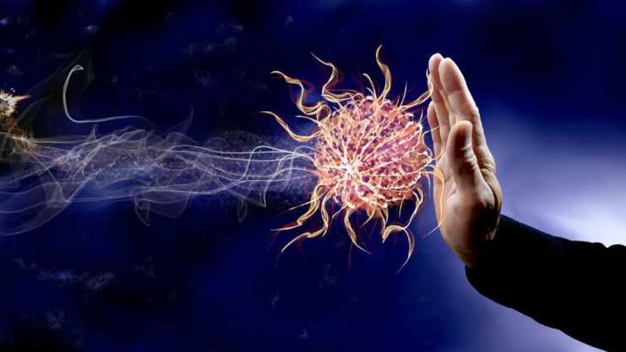 Cuando el sistema inmunitario reconoce un antígeno, lo ataca y a esto se le llama respuesta inmune.