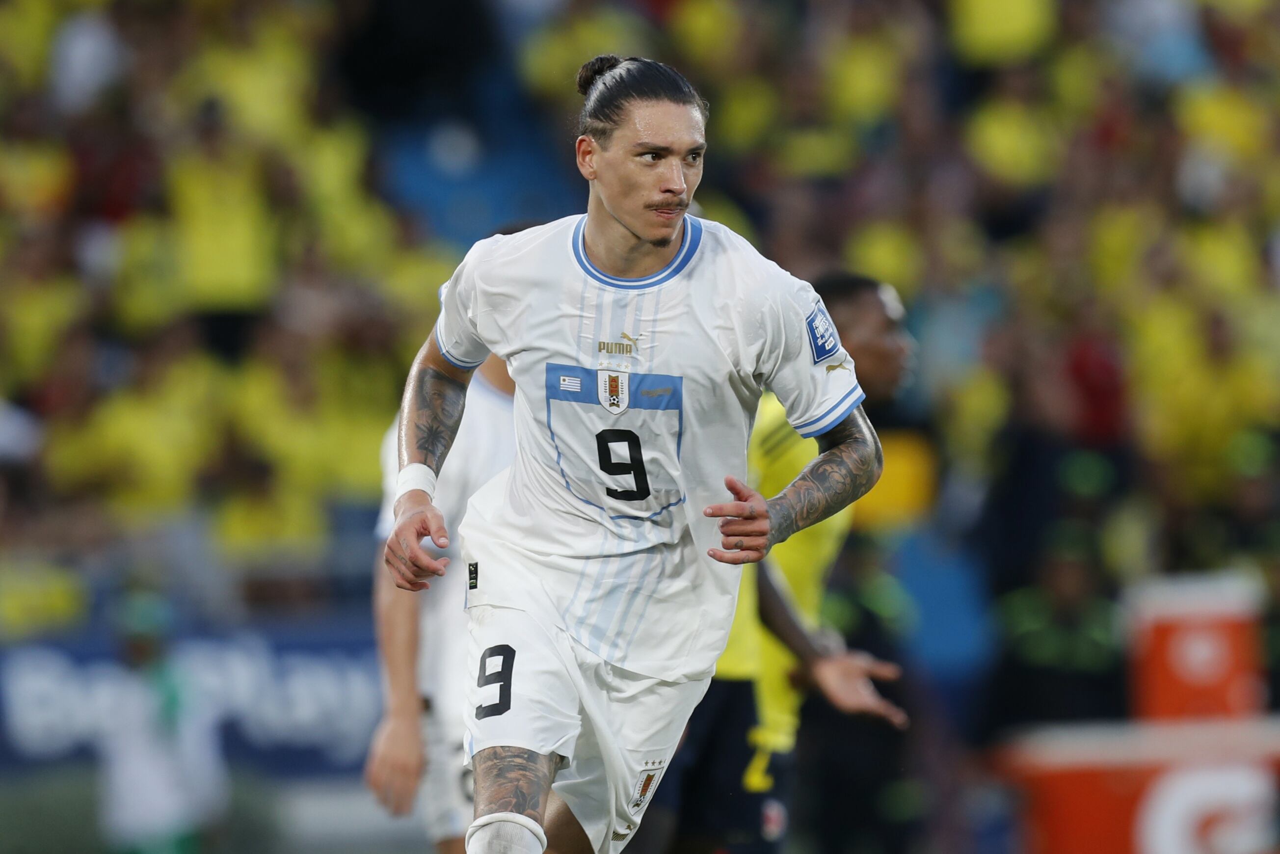 Estadio Metropolitano