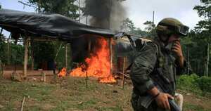 La producción de cocaína en Colombia aumentó de las 290 toneladas métricas (tm) en 2013, a 442 el año pasado.