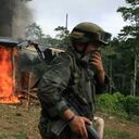 La producción de cocaína en Colombia aumentó de las 290 toneladas métricas (tm) en 2013, a 442 el año pasado.