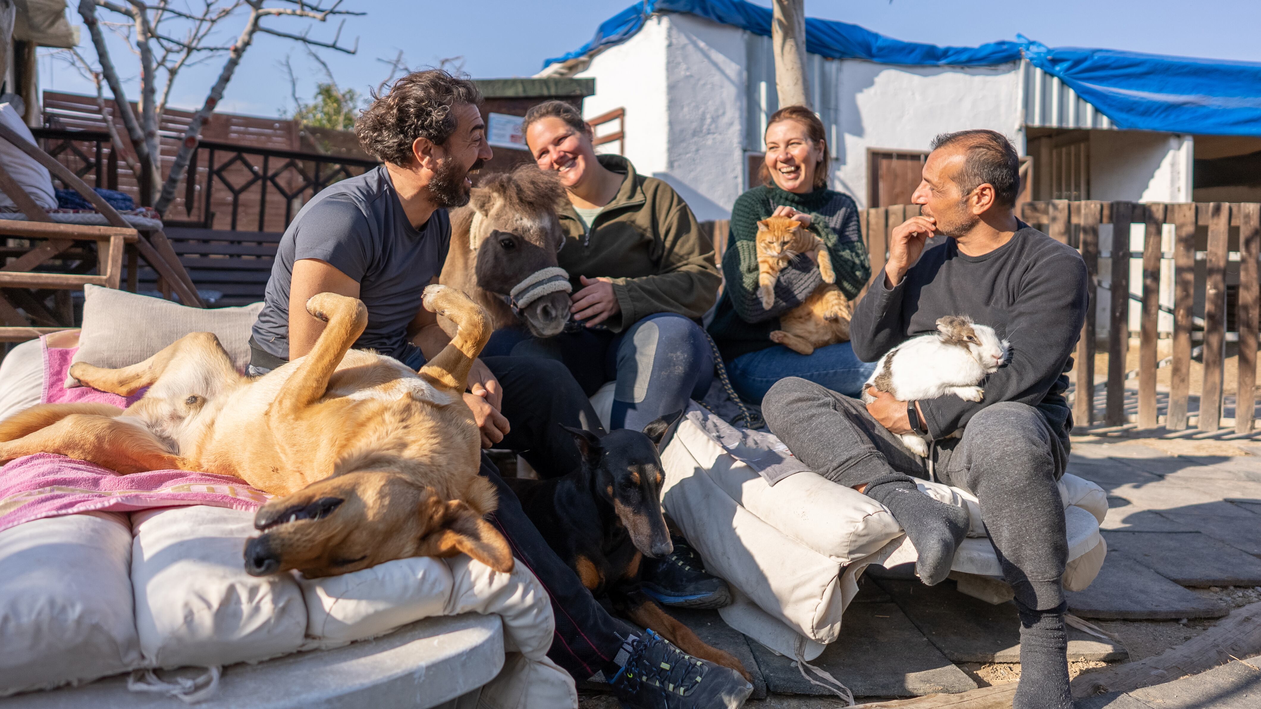 4 Patas, Familias multiespecie o transespecie