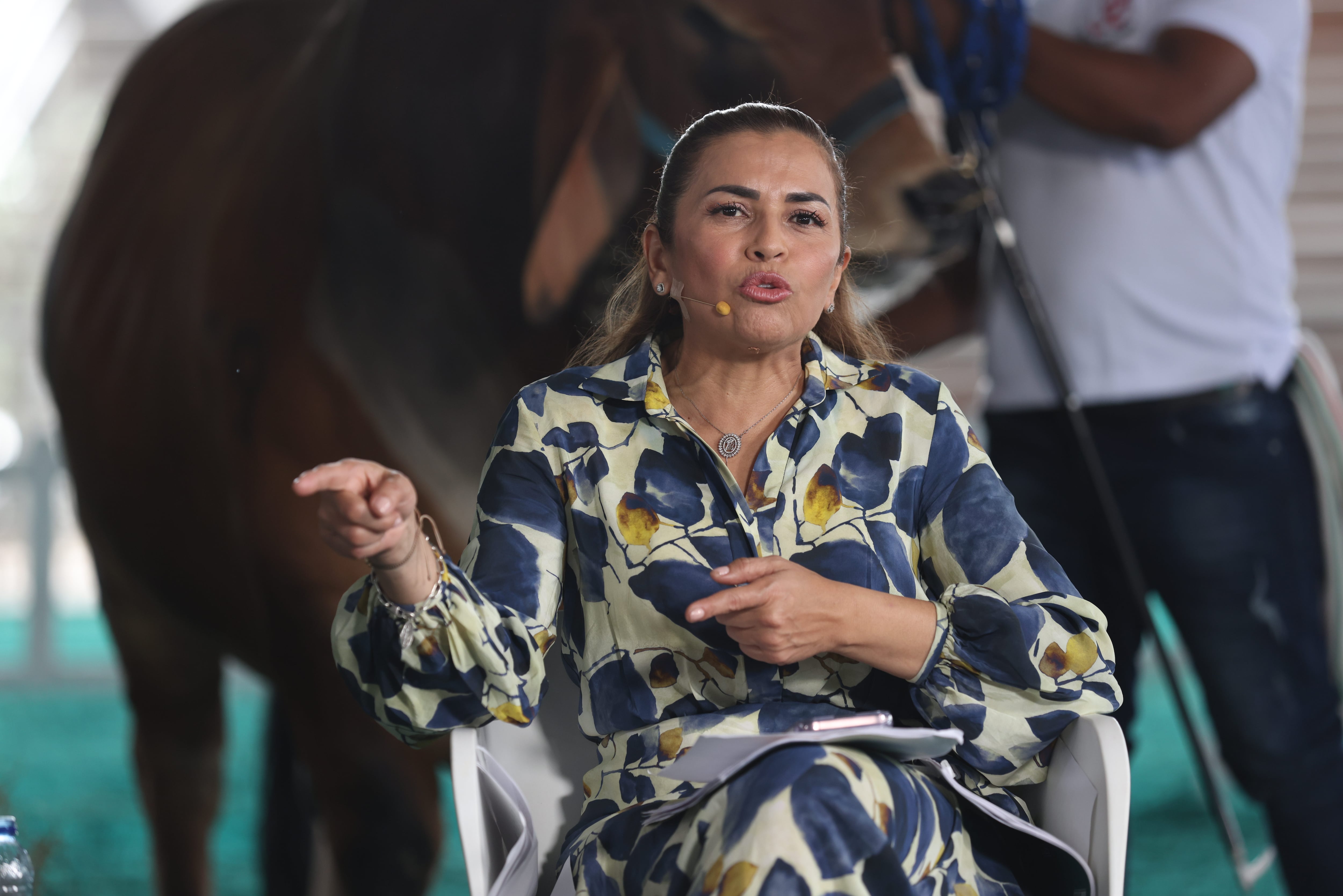 El Debate

Habla Rafaela Cortés, gobernadora del Meta