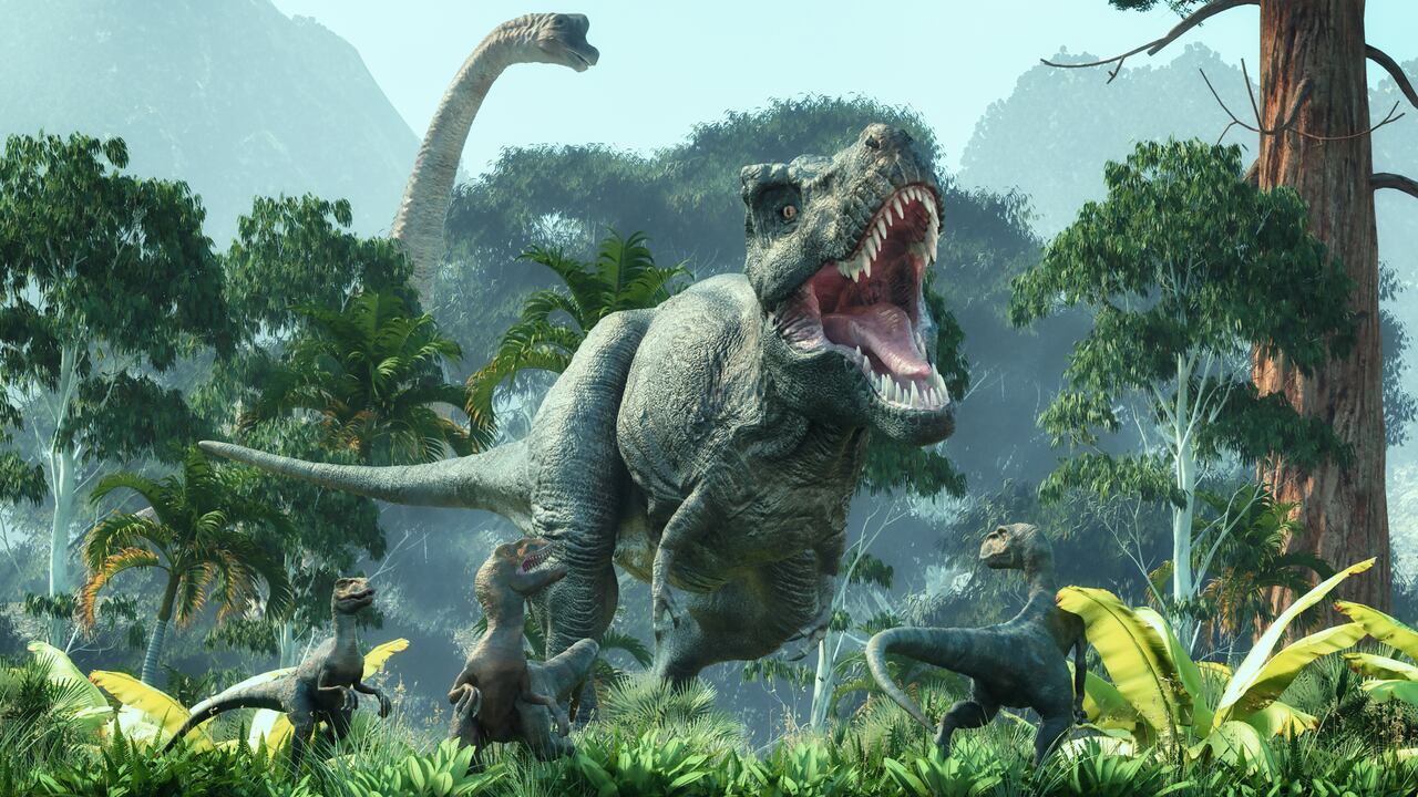 Las piezas estarán expuestas en una exhibición realizada por la Universidad de los Andes.