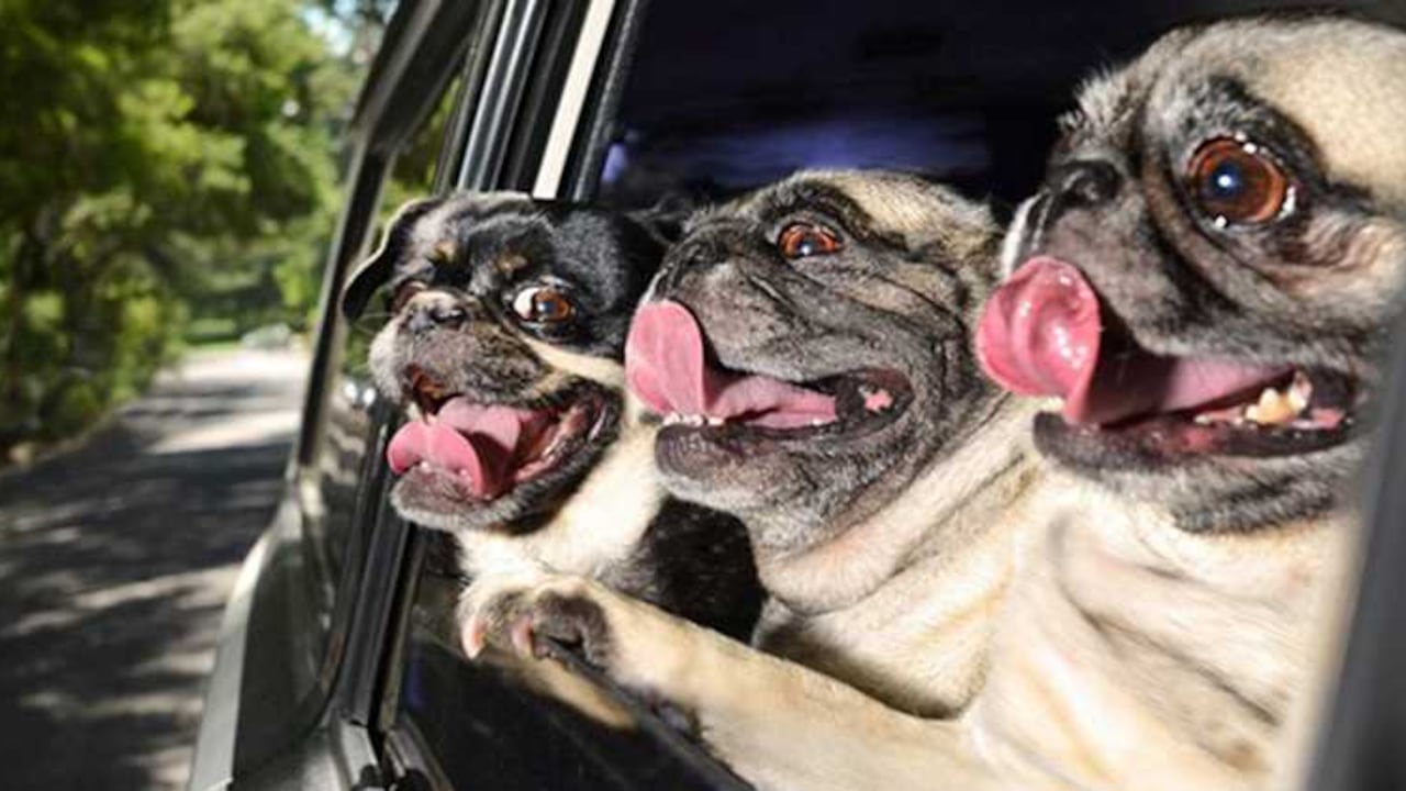 Foto: tomada de noticias24.com