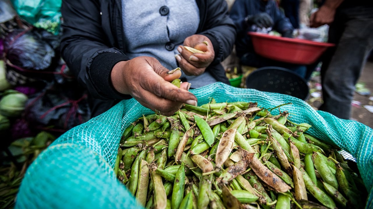 Diariamente, cientos de personas acuden a la central para proveerse de productos para consumir en sus hogares y otros para comercializar en otras zonas de la ciudad.