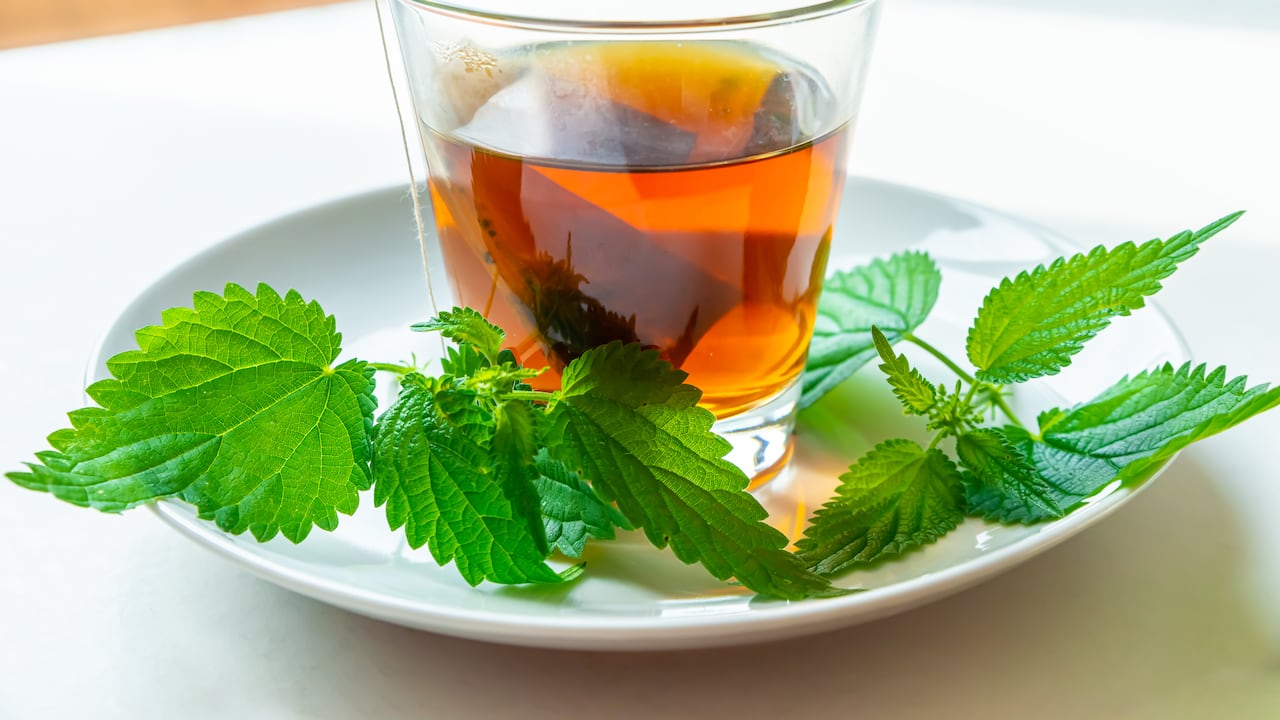 Esta infusión en benéfica para bajar de peso y controlar los azúcares. Foto: Getty Images.