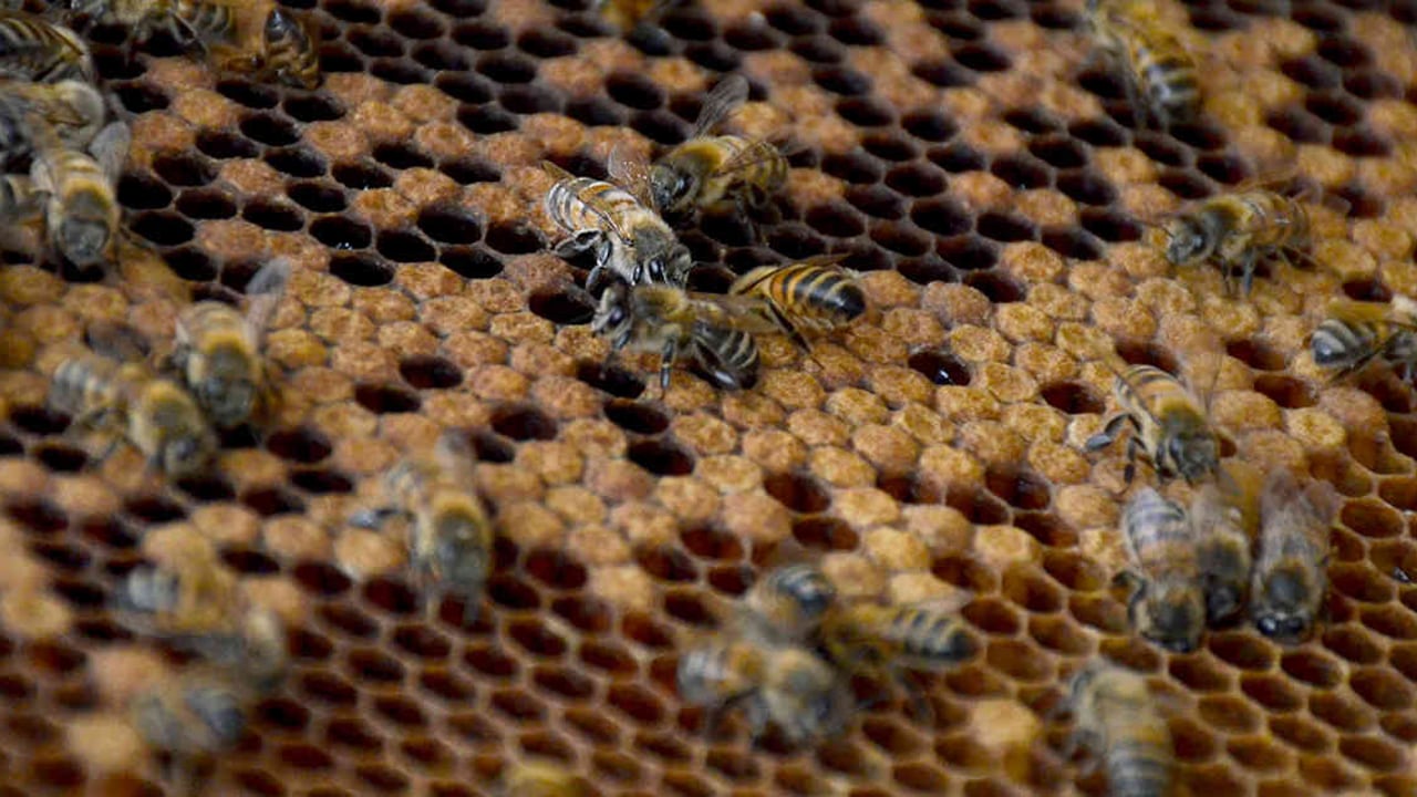 Foto: Diana Rey Melo / SEMANA.