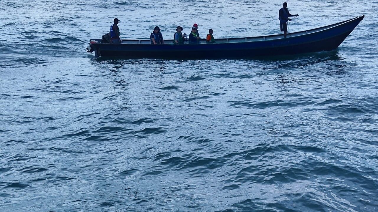 Las vítimas estaban realizando avistamiento de ballenas