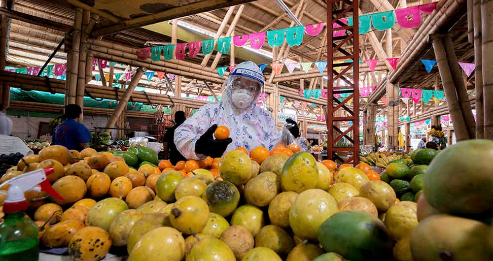 La pandemia ha puesto en evidencia la necesidad que tiene Colombia de contar con un suministro de los productos básicos de la dieta de la población. 