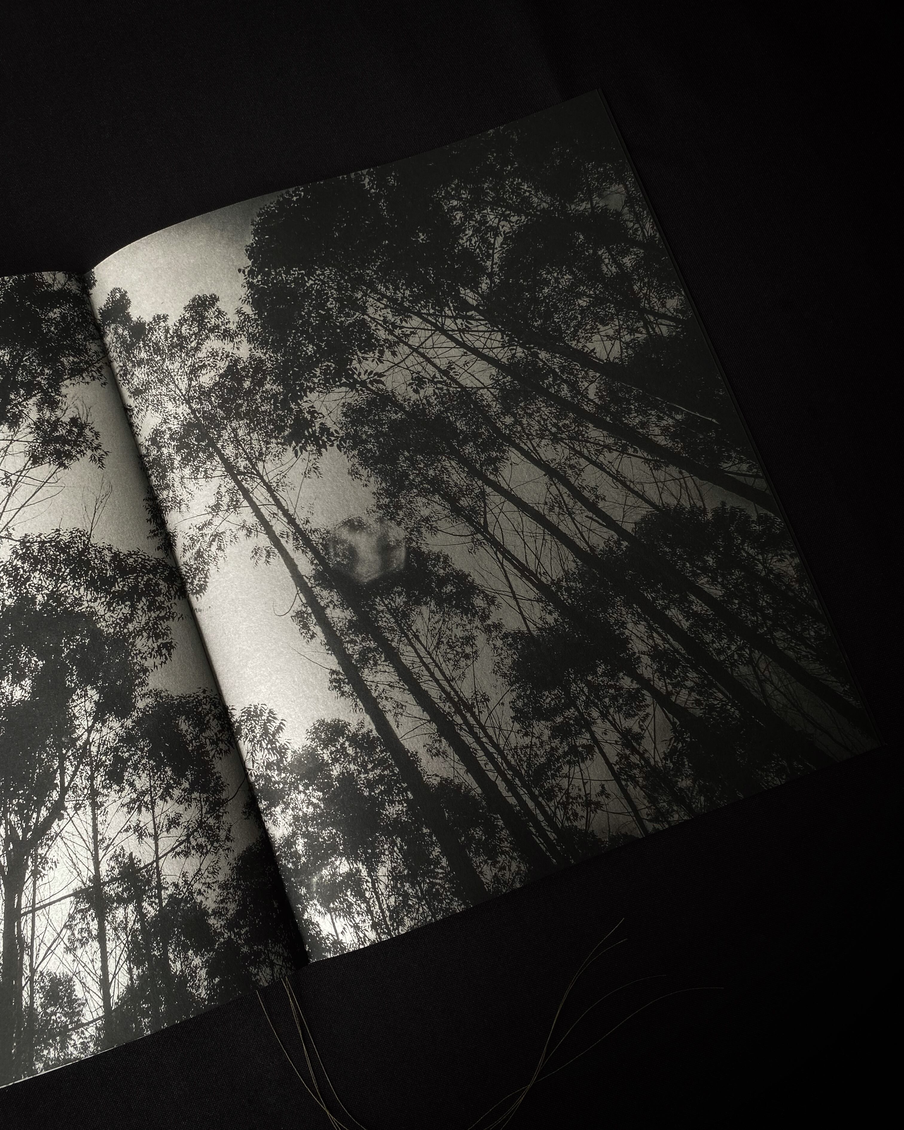 'Desierto Verde', de Víctor Galeano, autoeditado por Baudó AP e impreso en Matiz Taller Editorial.