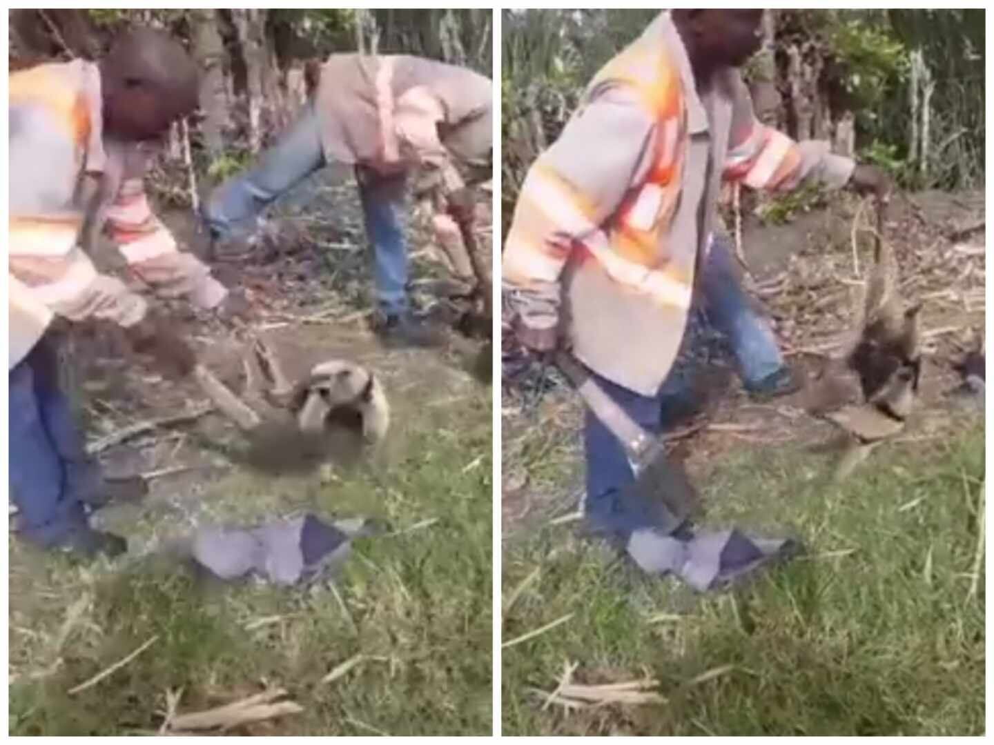 Las autoridades investigan los hechos.