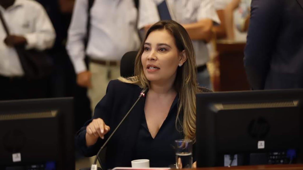 Lina García Gañán, concejala del Centro Democrático, declarada en rebeldía.