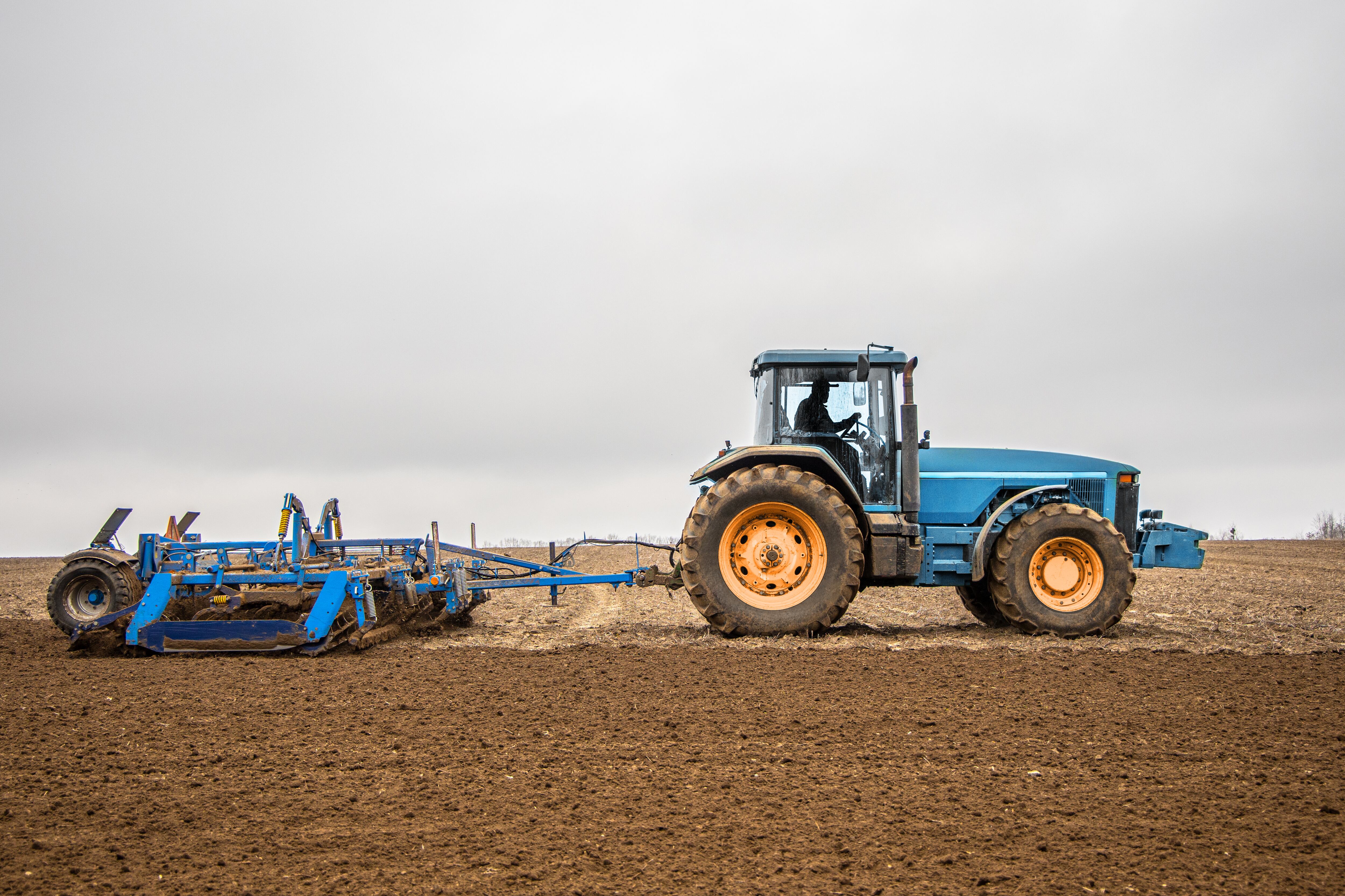 Según reportes de asociaciones agrícolas, estos operativos han generado un clima de miedo entre los trabajadores, provocando ausencias masivas que ponen en riesgo cosechas y procesos esenciales.