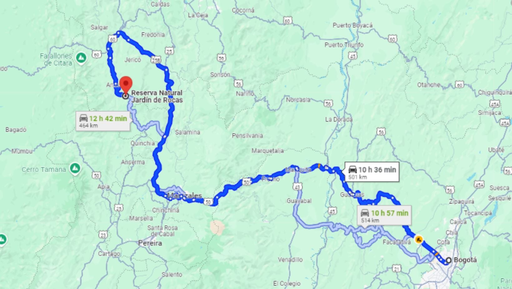Descubra el mejor lugar para el avistamiento del Gallito de Roca, el ave del paraíso suramericano