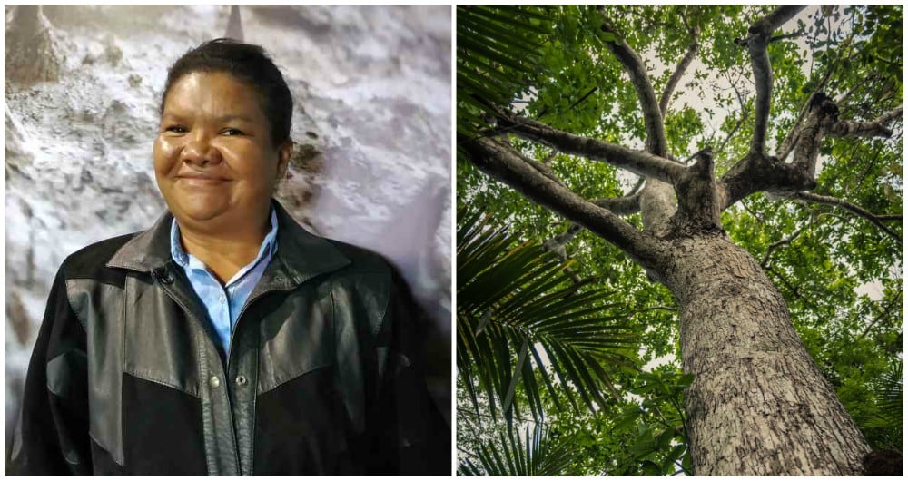 Leila Patricia Vera, guardiana campesina de los Montes de María.