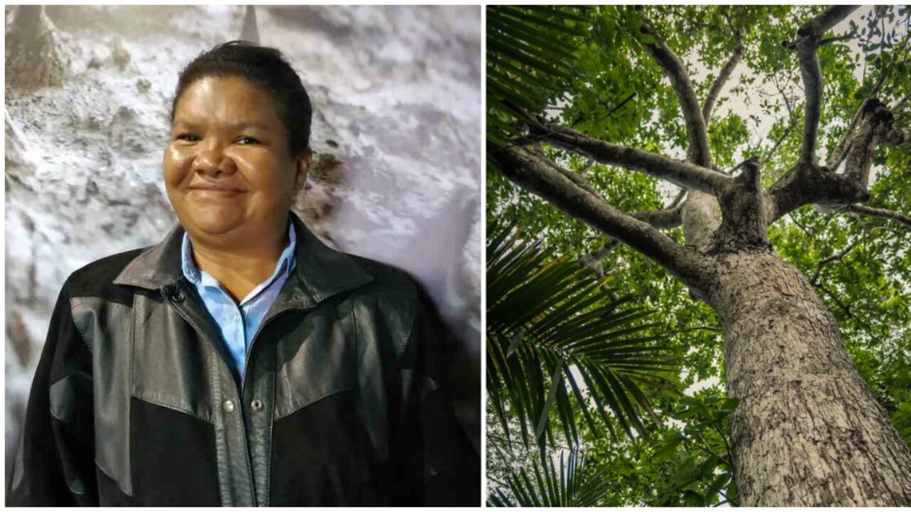 Leila Patricia Vera, guardiana campesina de los Montes de María.