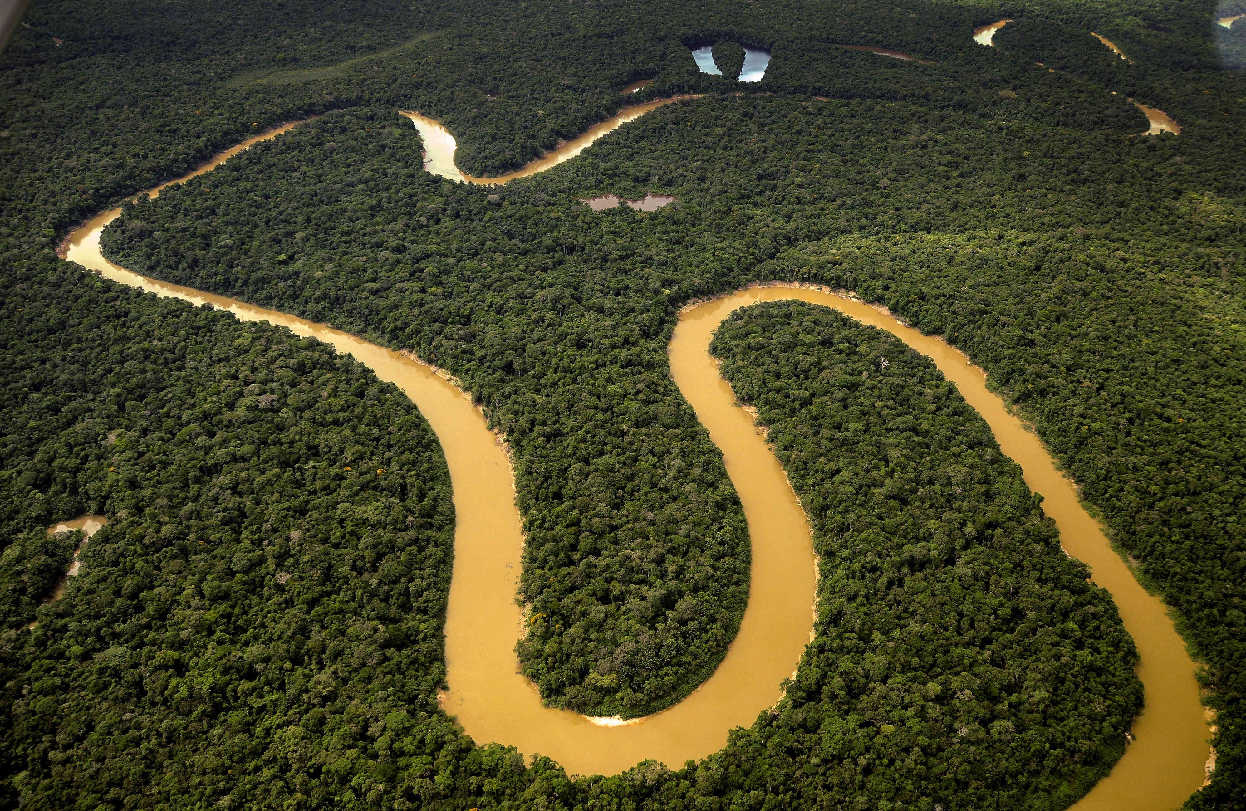 Chiribiquete es el parque nacional de selva húmeda tropical más grande del continente. Foto Rodrigo Botero, Fundación para la Conservación y el Desarrollo Sostenible.