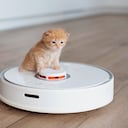 La aspiradora robot es uno de los electrodomésticos más vendidos en los últimos años.