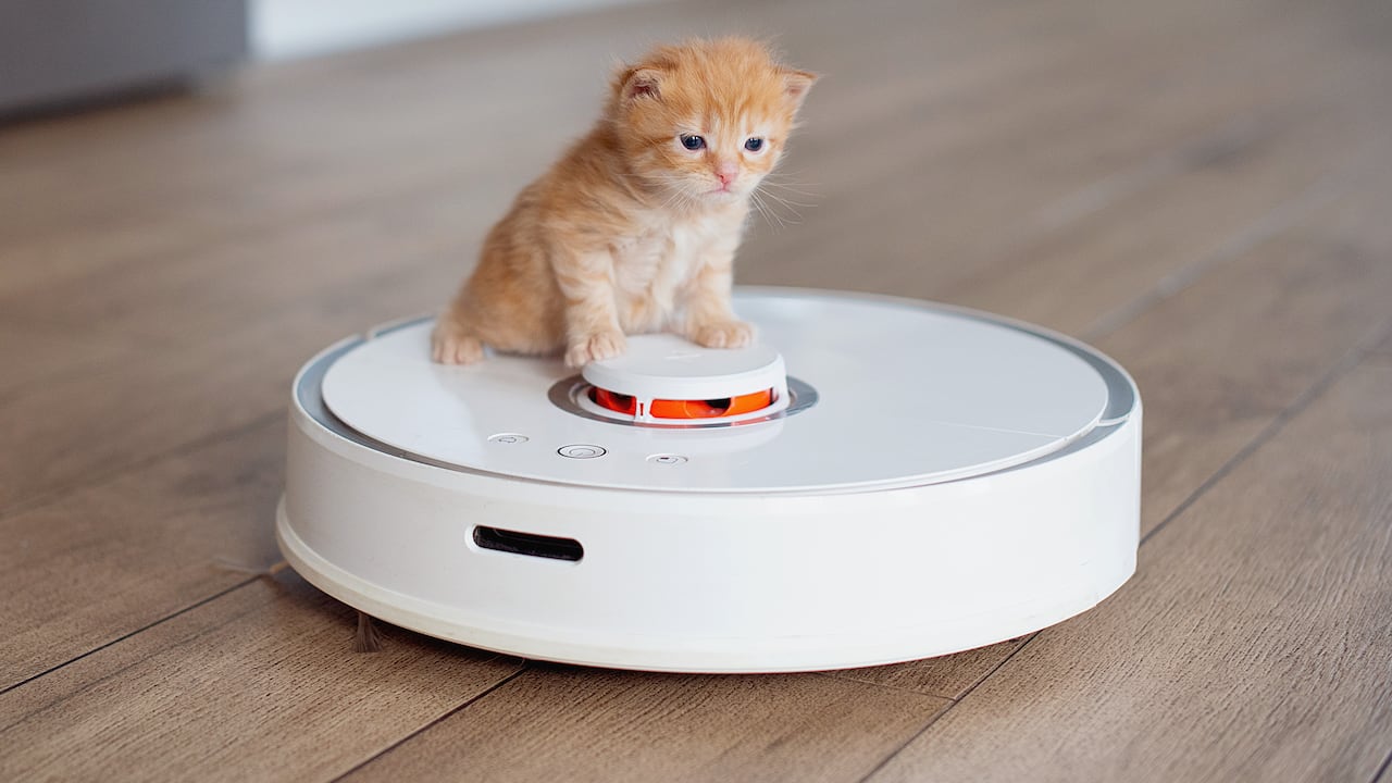 La aspiradora robot es uno de los electrodomésticos más vendidos en los últimos años.