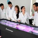 Las competencias reúnes los conocimientos, las actitudes y las habilidades que se utilizan para responder de manera efectiva a las situaciones que se presentan.