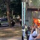 Los encapuchados se robaron la patrulla de la Policía.