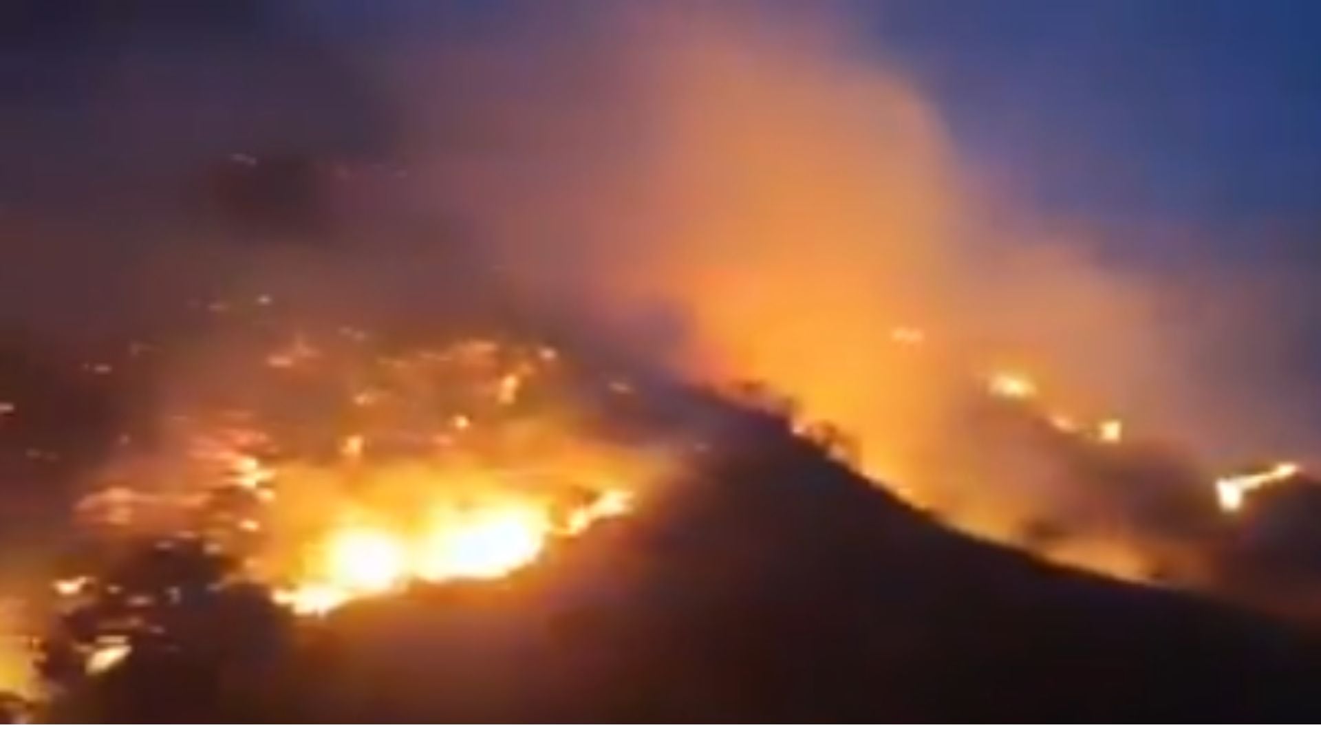 Las llamas avanzan por las zona rurañl de Álbrego, mientras organismos de socorro y habitantes tratan de controlarlo.