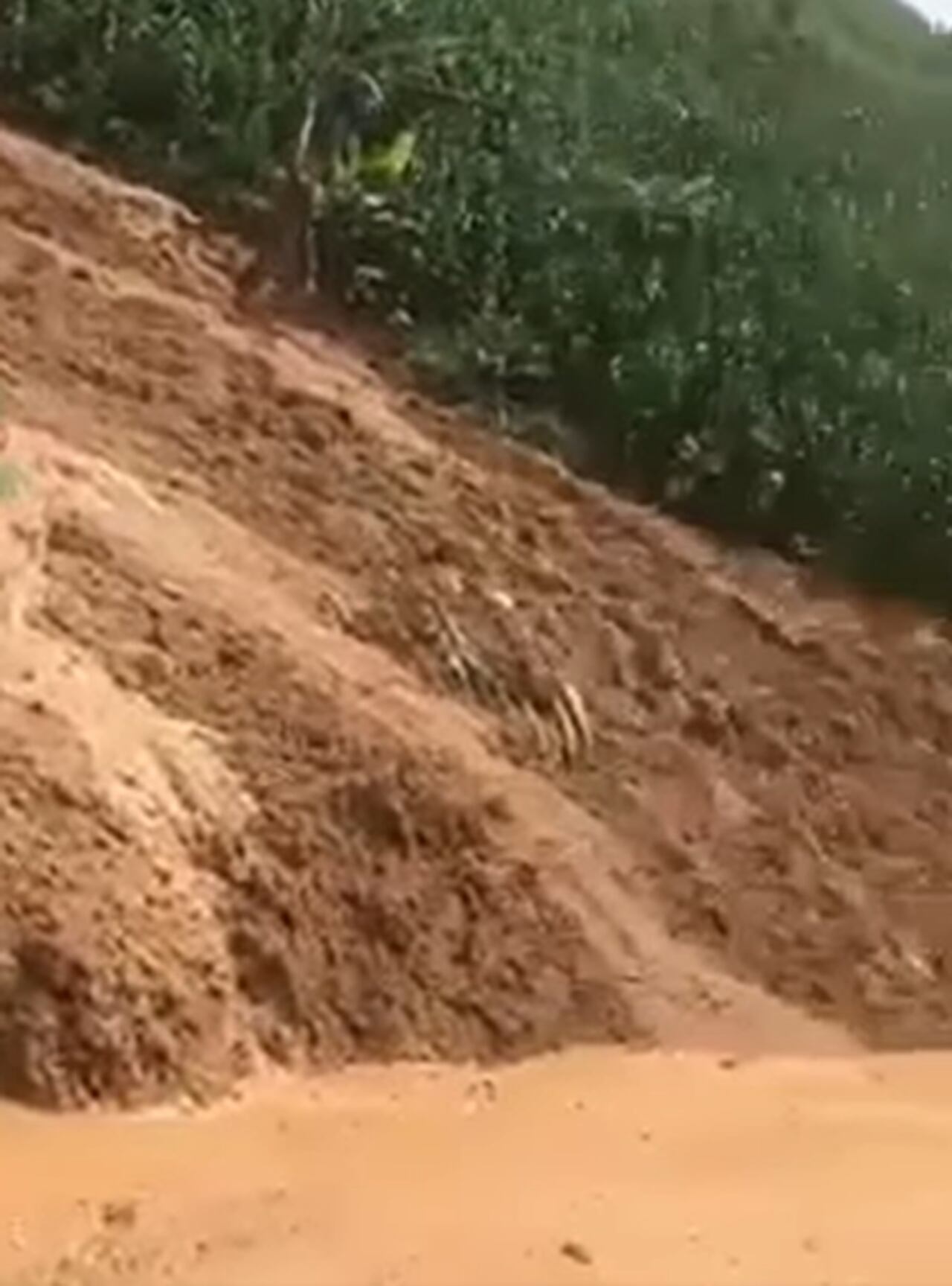 Las dos personas fueron encontradas con vida y sin lesiones