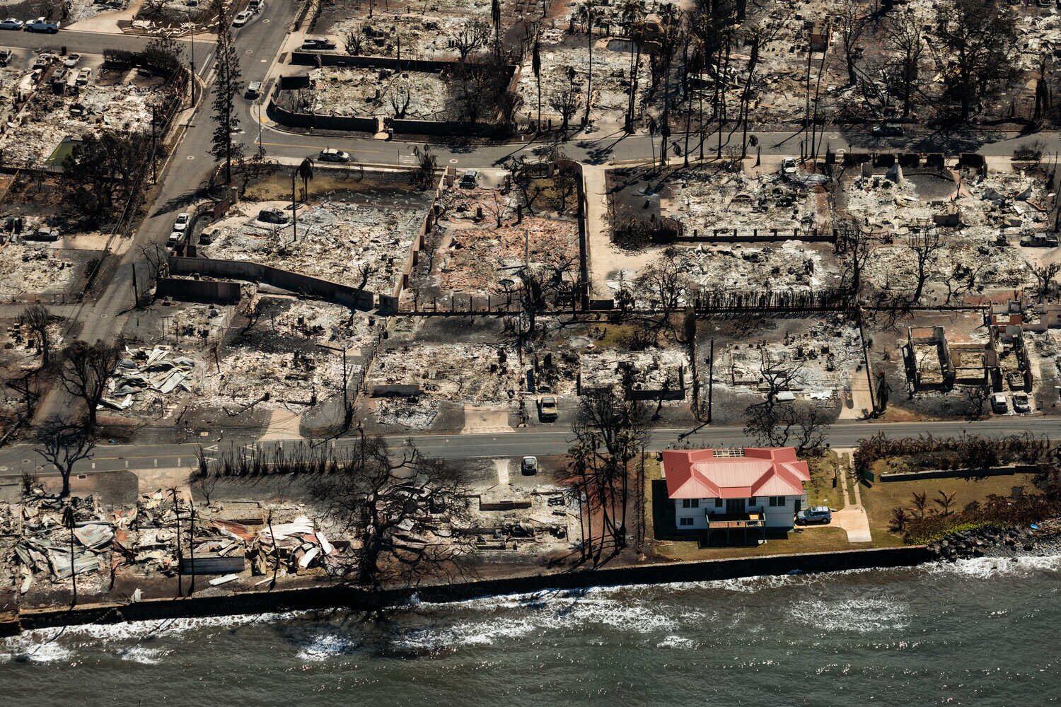 Twitter:@NextTopMD/ (API)