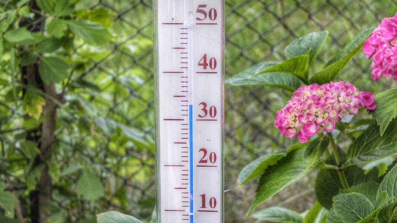 El 2021 también supuso el séptimo año consecutivo en que la temperatura media del planeta se situó 1 ºC por encima de la registrada en la era preindustrial.