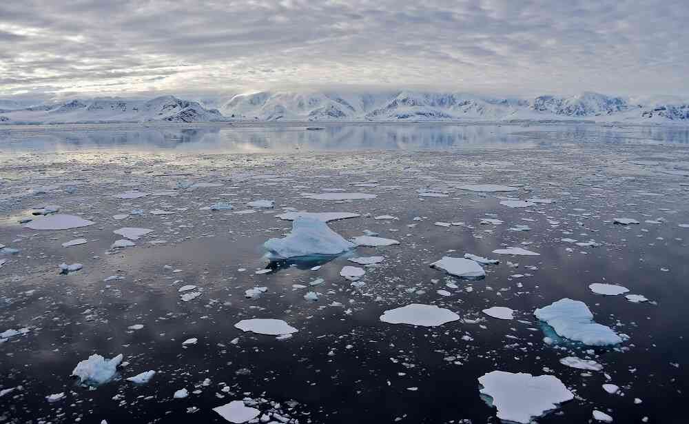 La Antártida está siendo escenario de deshielo por calentamiento global. Foto: AFP