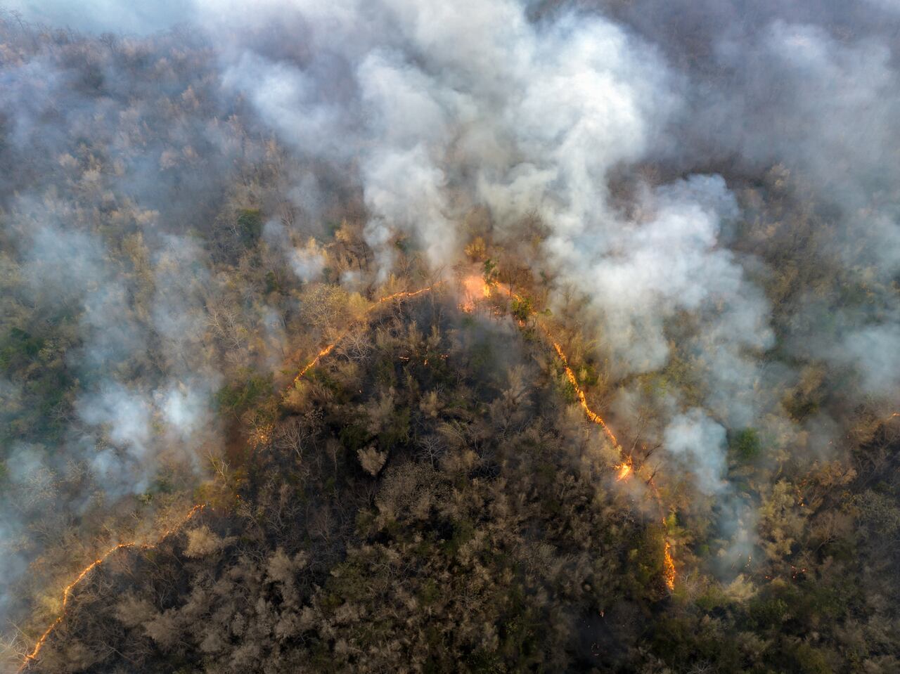 Selva amazónica siendo arrasada por incendios, en algunos casos provocados por la gran sequía.