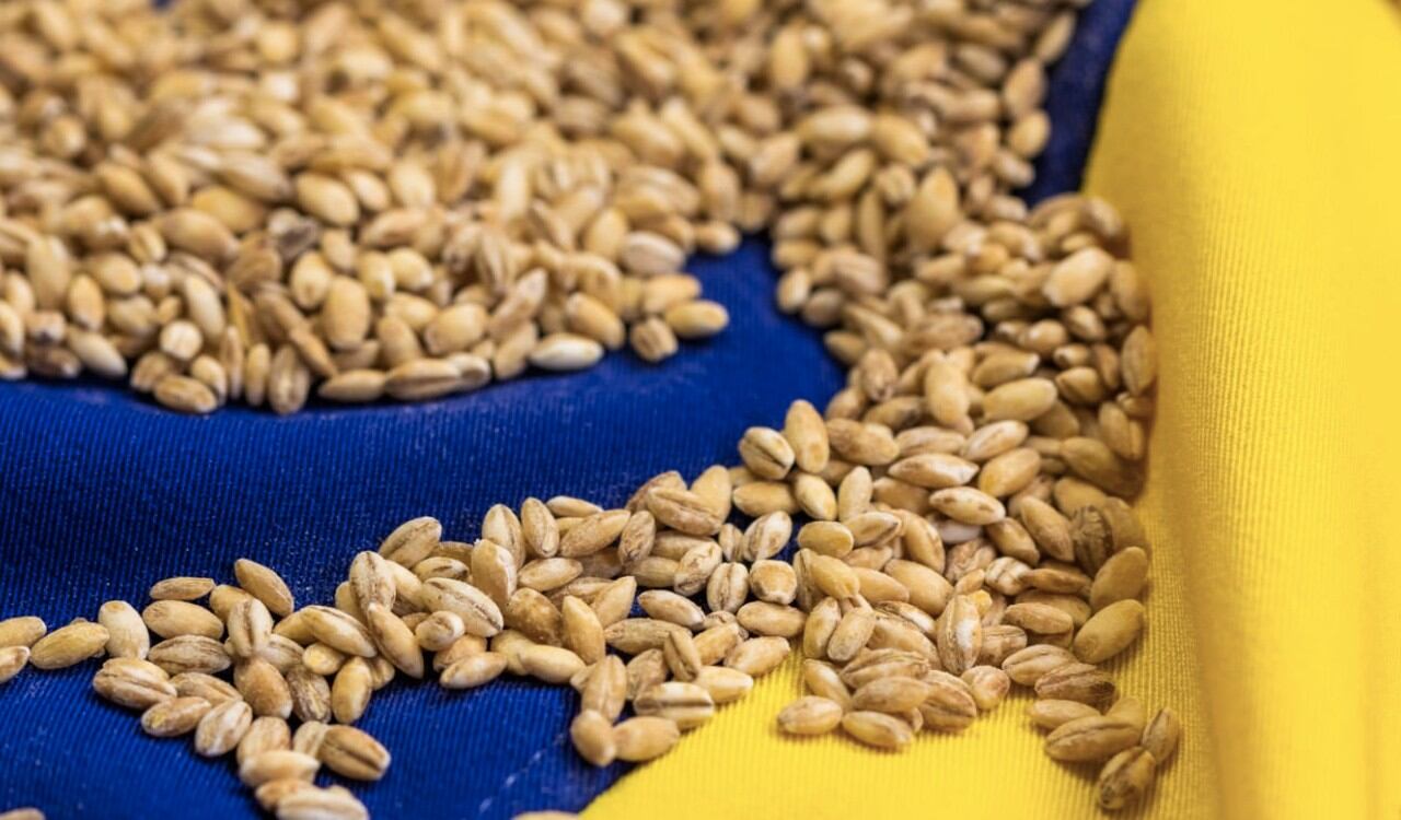 La Comisión Europea levantó restricciones a las exportaciones de cereales procedentes de Ucrania