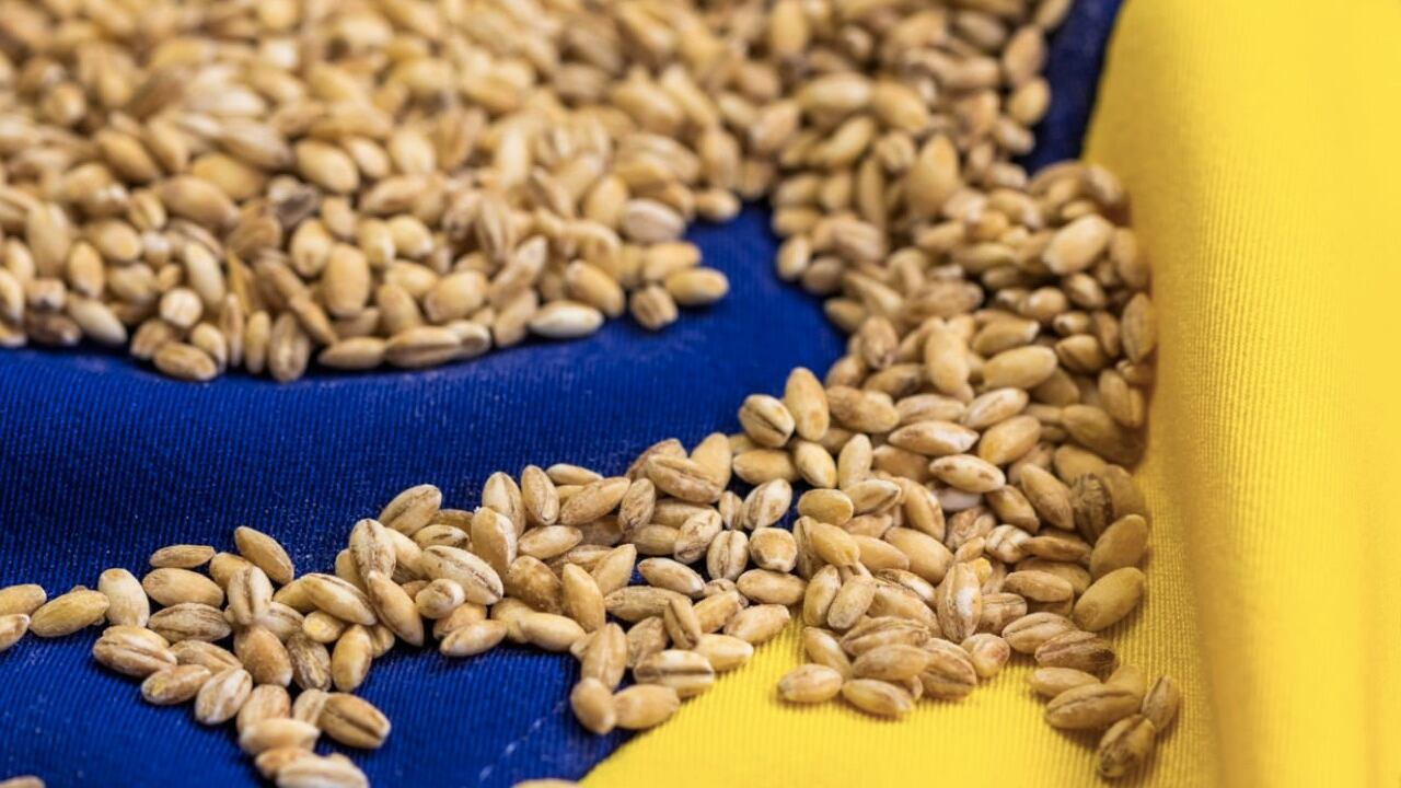 La Comisión Europea levantó restricciones a las exportaciones de cereales procedentes de Ucrania. Imagen de referencia.