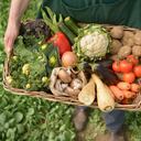 Los mercados campesinos se reinventaron. Ante la imposibilidad de vender los alimentos en plazas de mercado, comenzaron a pensar en nuevas maneras de hacer llegar sus productos a los consumidores.