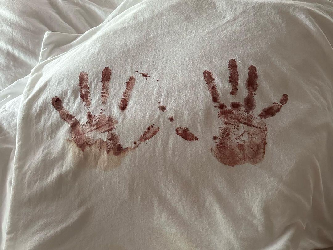 Camilo Echeverry y Evaluna anuncian la llegada de Amaranto