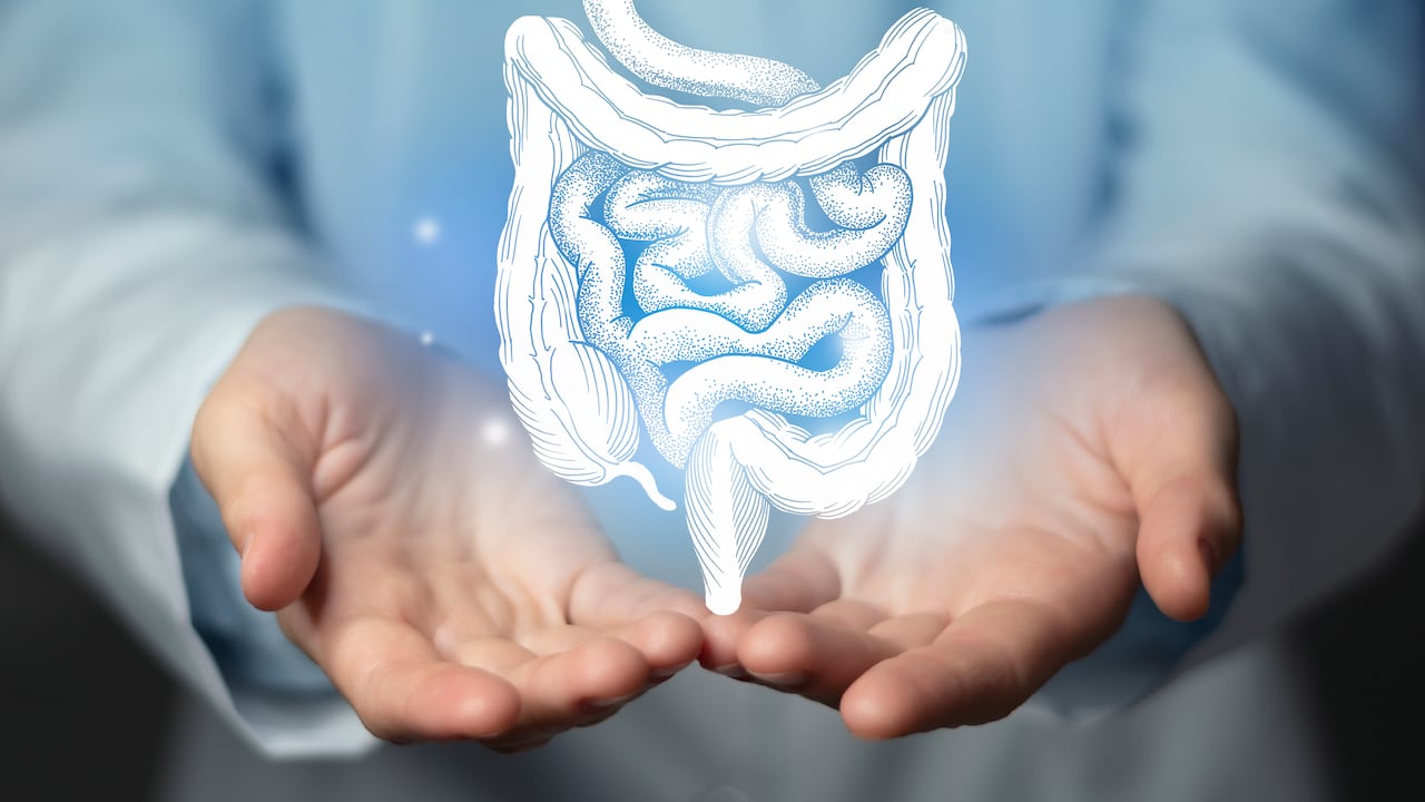 Los buenos hábitos contribuyen a que los intestinos se mantengan saludables.