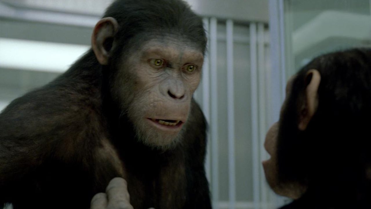 Escena de la película 'El origen del planeta de los simios'