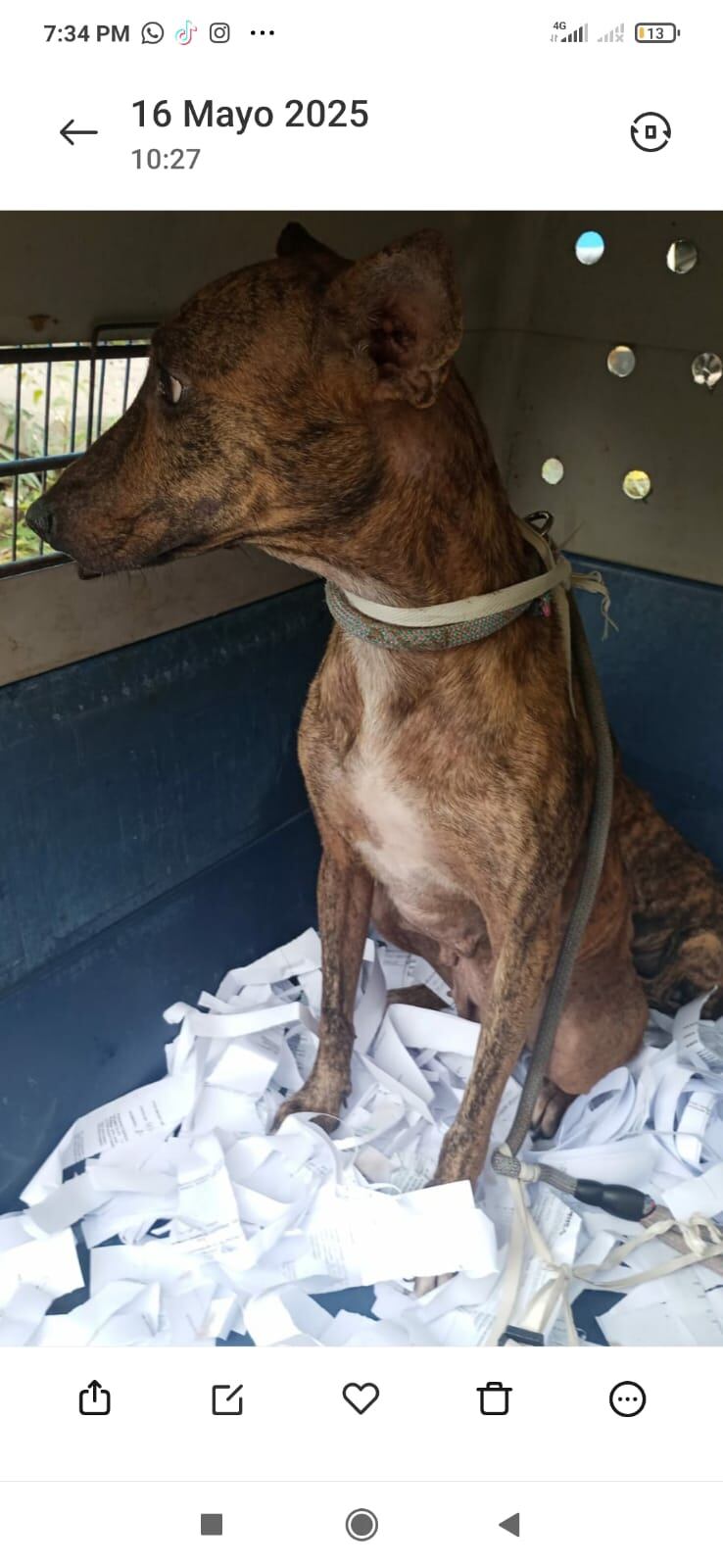 Aporte Melisa Rodríguez