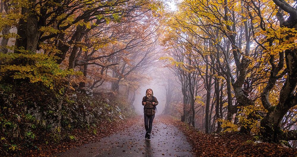 Gracias a investigaciones anteriores se sabe que caminar promueve la producción de endorfinas
