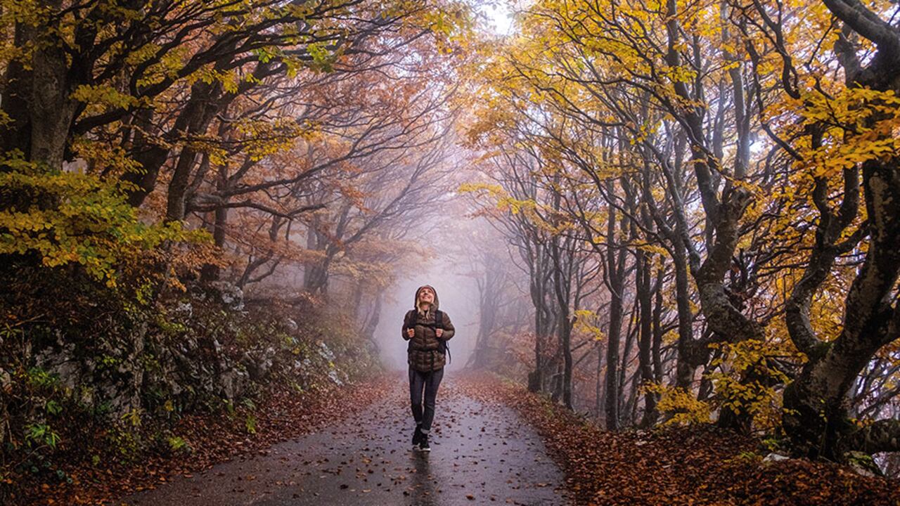 Gracias a investigaciones anteriores se sabe que caminar promueve la producción de endorfinas